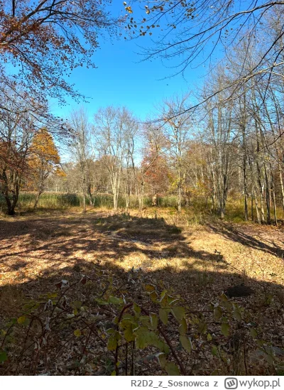 R2D2zSosnowca - @R2D2zSosnowca 11