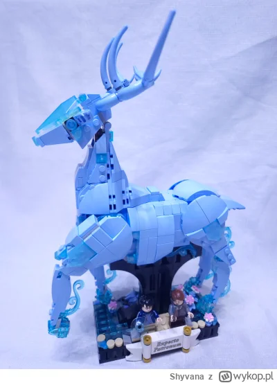 Shyvana - Wczoraj w końcu udało mi się znaleźć czas na wykorzystanie mojego prezentu ...