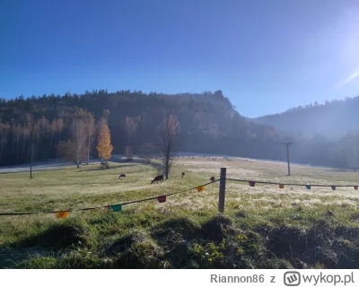 Riannon86 - Szadź przechodzi w krople rosy. Cudnie to wygląda!
#podrozojzwykopem  #ka...