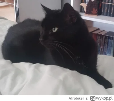 Afrobiker - @Afrobiker