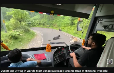 grand_khavatari - #autobusy #indie #krowkizprzypadku