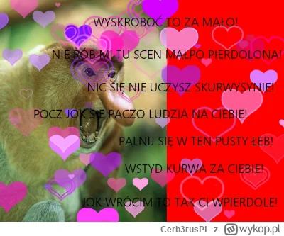 Cerb3rusPL - #konkursnanajbardziejgownianymemznosaczem 

No i prawidłowo. Pioter spro...