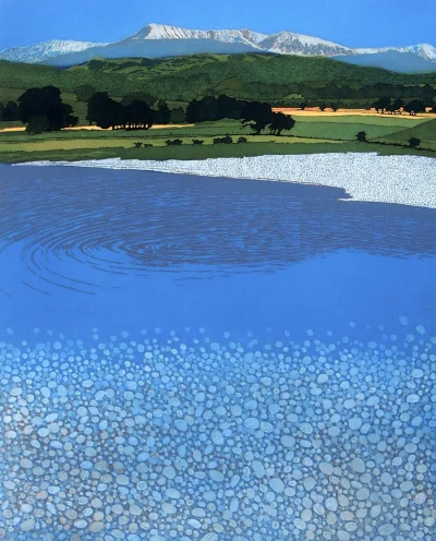 Corvus_Frugilagus - Phil Greenwood - Cadair

#corvusfrugilaguscontent