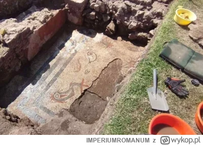 IMPERIUMROMANUM - Odkryto rzymską mozaikę sprzed 2000 lat

Do odkrycia doszło w czasi...