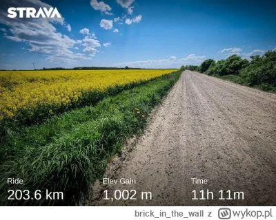 brickinthe_wall - 229 611 + 19 + 17 + 18 + 18 + 49 + 16 + 18 + 16 + 16 + 17 + 17 + 16...