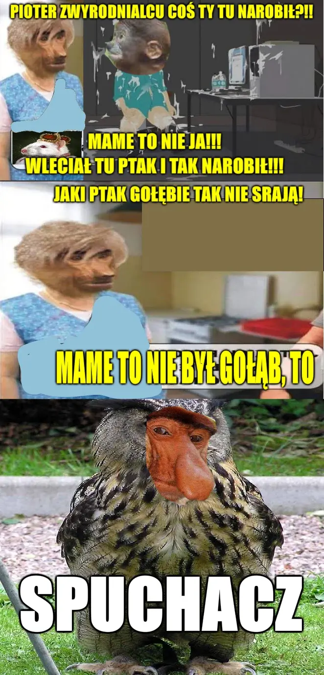 Sirius_Son - #konkursnanajbardziejgownianymemznosaczem