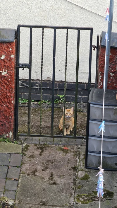 xionc0586 - @xionc0586: