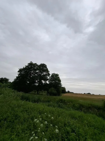 Outism0 - #przegryw #spierdotrip