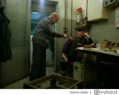 bama-kala - >To kuwra czemu jest tak zimno?
@mieszalniapasz: