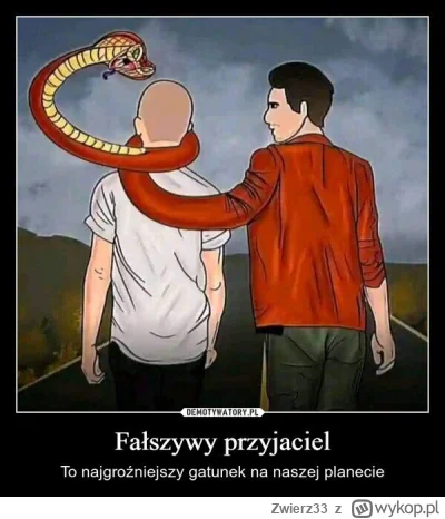 Zwierz33 - Który z kondonów zgłasza byle wpis i jest zwykłym frajerem niech doda mnie...