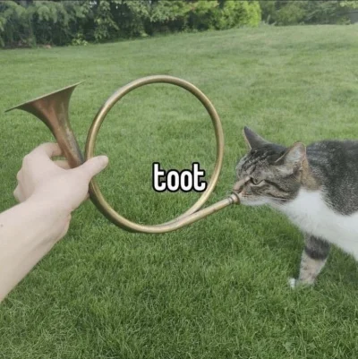 chlop_gminny - tooot