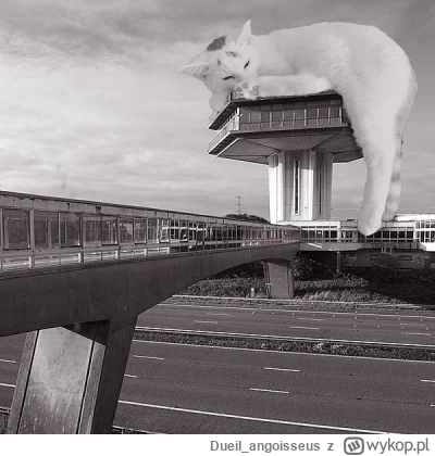 Dueil_angoisseus - #betonowykotek

#brutalizm #koty #kitku #architektura