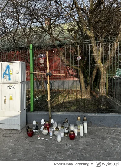 Podziemny_drybling - #kononowicz natężenie pielgrzymek nasila się z każdą minutą #pat...