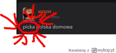 Kauabang - @szzzzzz: Nie oszukujmy się, wszyscy wiemy jak tu się mówi na pizzę