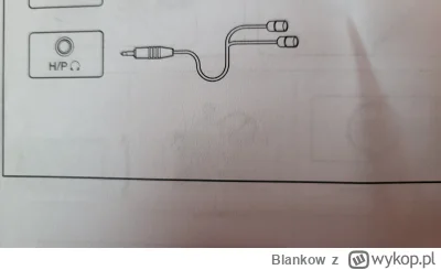 Blankow - #monitory #informatyka 
Co to za kabel?