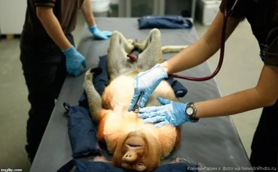 thority - Aktualnie w domu u mirka @lepaq 
#mecz