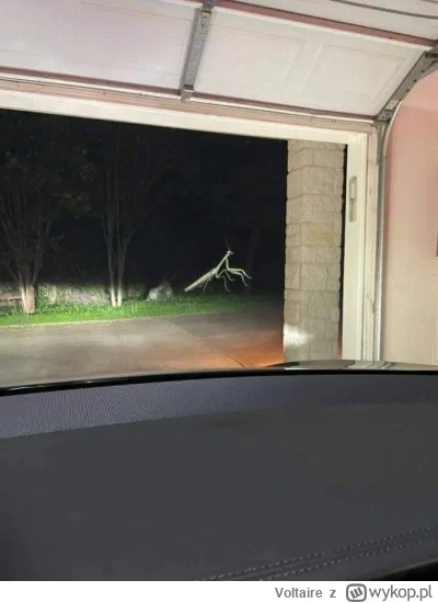 Voltaire - P--------e mamy z tymi kosmitami.