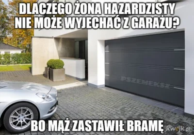 Tytanowy_Lucjan - Jaką bramę garażową możecie polecić tak do 22000 zł? Kolega z Niemi...