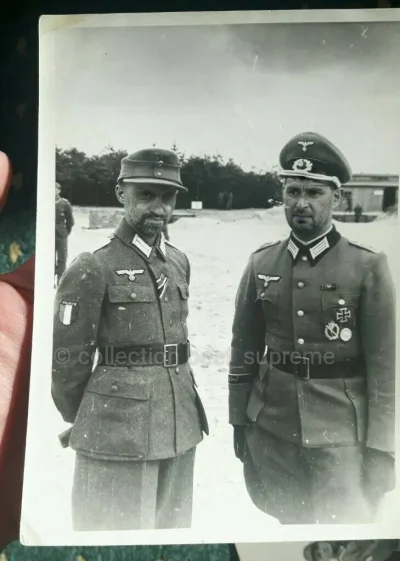 zbychuzbychu1 - #danielmagical Gott, Ehre, Heimatland!!! #patostreamy