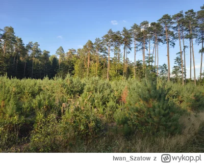 Iwan_Szatow - #przegryw