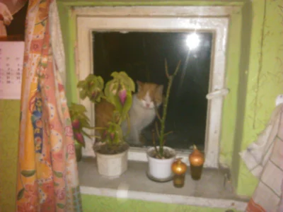 Predator569 - @Predator569: robione kalkulatorem