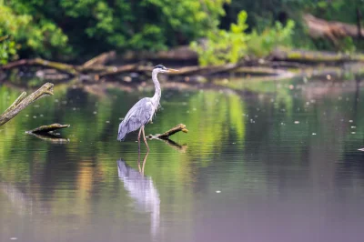 witajswiecie - Człowiek korzystając z bezsenności wychodzi o 5 rano z nadzieją, że ty...