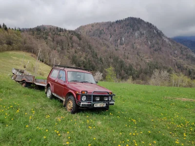 Dokkblar - Słoweński wół roboczy
#parkology #slowenia #samochody
