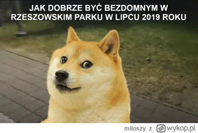 miloszy - #kiszak #heheszki #memy #patostreamy