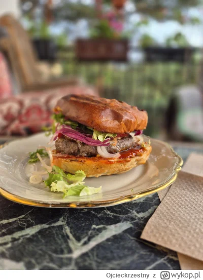 Ojcieckrzestny - Takie burgery wyszli z pod mojej ręki. Ojciec mi powiedział żebym p-...