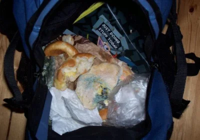 tomilipin - To już jutro xD
#szkola #licbaza #techbaza