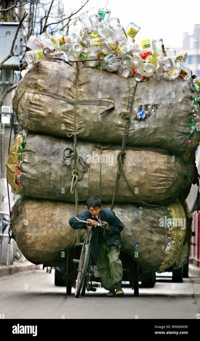 the_nightfly - #systemkaucyjny