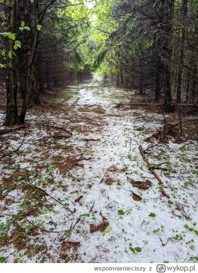 wspomnienieciszy - #gory taki klimat