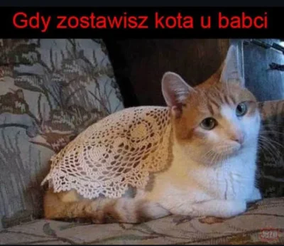 Vegasik69 - #heheszki (ʘ‿ʘ)