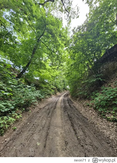 neon71 - Wąwozy Trzebnickie?