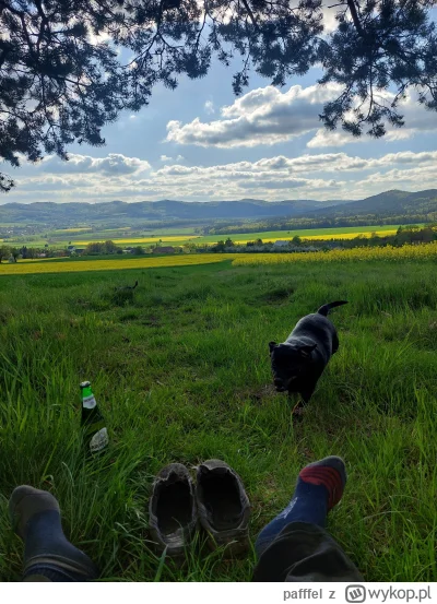 pafffel - Spacerek z pieskami