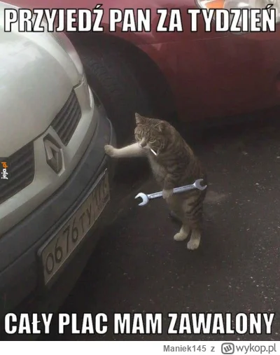 Maniek145 - I znowu do roboty