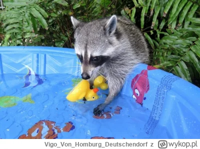 VigoVonHomburg_Deutschendorf - Z tego co zapowiadają na weekend, to pogoda dopisze, b...