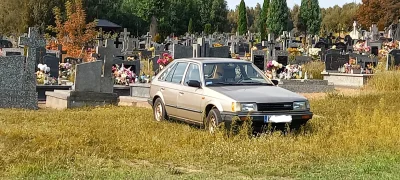 SzubiDubiDu - Ja już zaparkowany na 1 listopada

#1listopada #grobbing  #pokazauto #s...