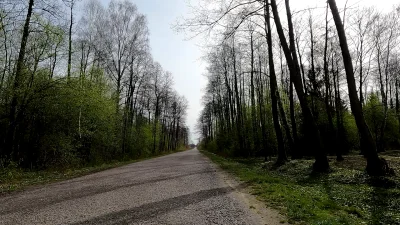 ToJestNiepojete - Na spierdotripie, no bo gdzie może być chłop... Norman zabrałby jul...