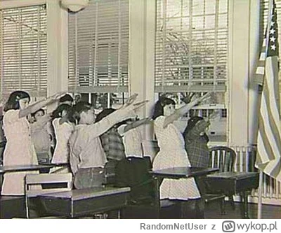 RandomNetUser - hurr durr amerykańskie dzieci wyssały nazizm z mlekiem matki