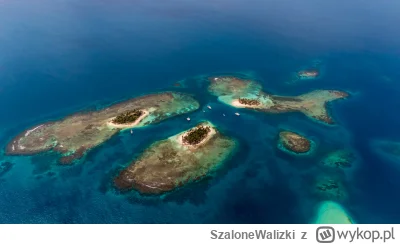 SzaloneWalizki - Cześć, 

Z naszego rejsu po archipelagu San Blas na Karaibach, który...