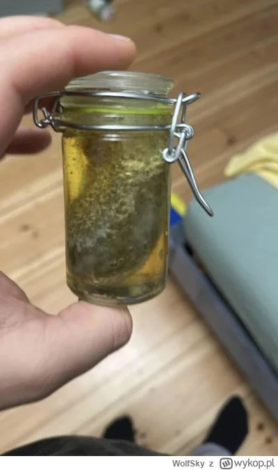 WolfSky - A oto Nasz wygrana! 
Tak swoją drogą to babcia wybrała drugą xD powiedziała...