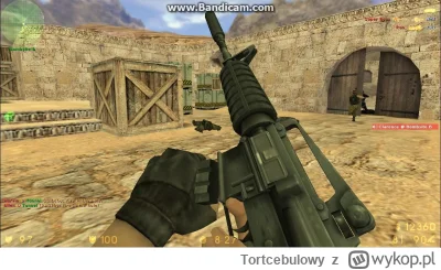 Tortcebulowy - Jest rok 2007, nie poszedłeś dzisiaj do szkoły i właśnie próbujesz prz...