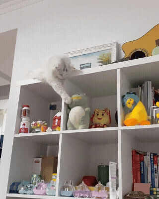 jestemtakizmeczony - @jestemtakizmeczony: Jak na prawdę wyginęły dinozaury. Koloryzow...