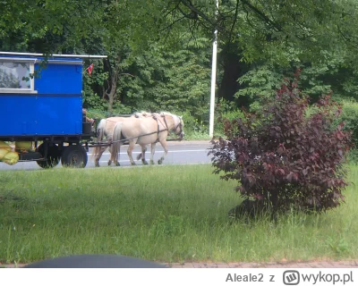 Aleale2 - #konie #droga #turystyka Chyba jakiś duńczyk przemierza tak przez polskę