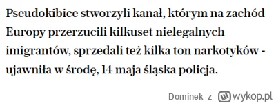Dominek - To chcecie mi powiedzieć, że kibole, którzy straszą nas Tuskiem sprowadzają...
