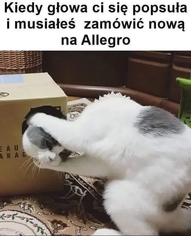 RitmoXL - @wybryk_natury: ( ͡°( ͡° ͜ʖ( ͡° ͜ʖ ͡°)ʖ ͡°) ͡°)