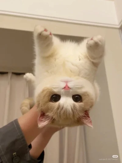 jestemtakizmeczony - @jestemtakizmeczony: