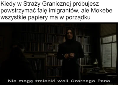 Zblizeniowy - #harrypotter #strazgraniczna #imigranci