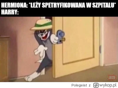 Polegeist - #harrypotter